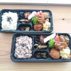 さわやどり弁当